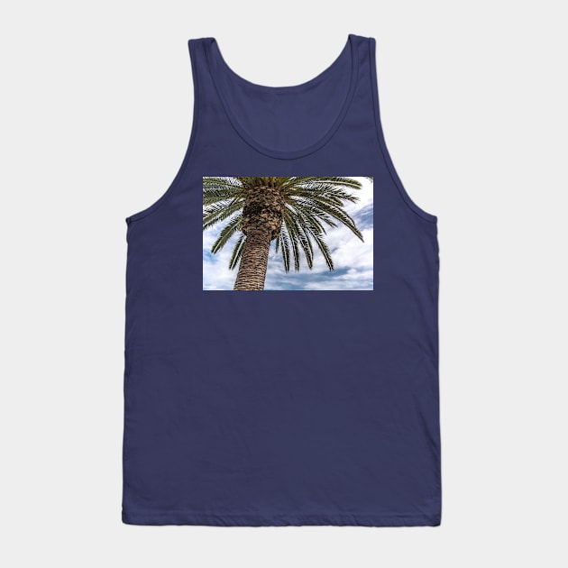 Palm tree against blue cloudy sky Tank Top by lena-maximova